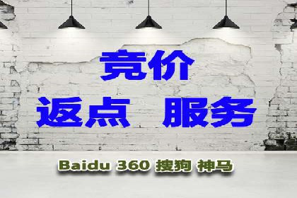 Sem优化公司实例：电商流量提升策略